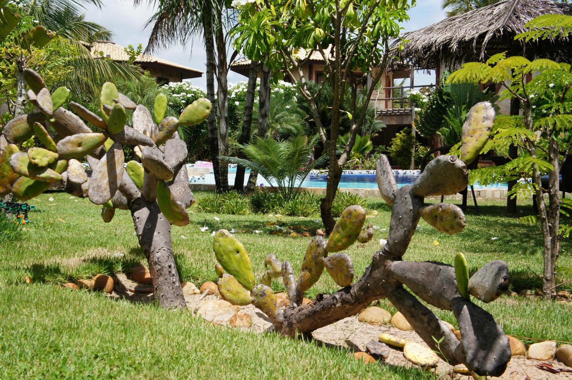 Pousada Morada Dos Ventos Praia de Pipa Exterior foto